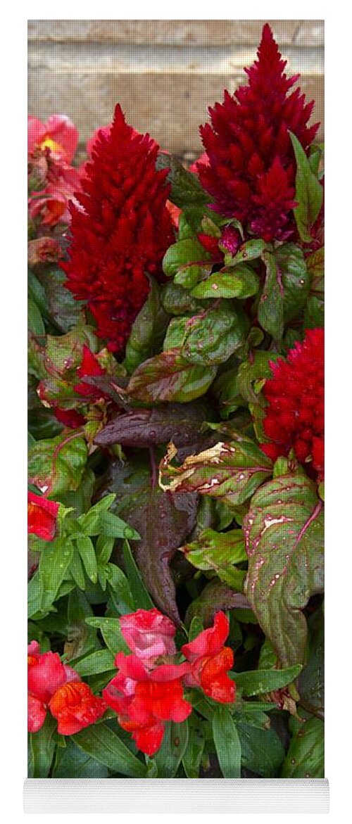 Red Yoga Mat featuring the photograph Grand Daughter's Flowers by C Winslow Shafer
