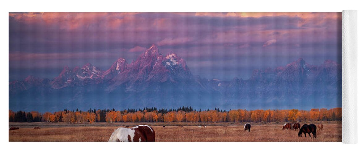 Grand Tetons Yoga Mat featuring the photograph Grand Teton Pasture by Wesley Aston
