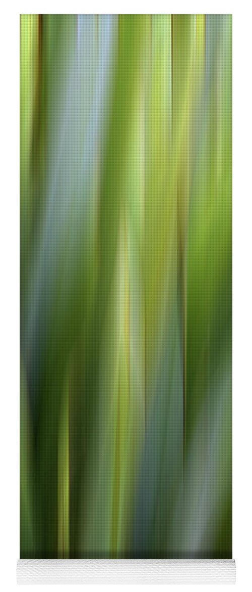 Plants Yoga Mat featuring the photograph Grasses 4 by JustJeffAz Photography