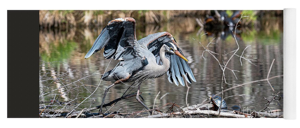 Afternoon Yoga Mat featuring the photograph Great Blue Heron at the Needham Reservoir by Ilene Hoffman