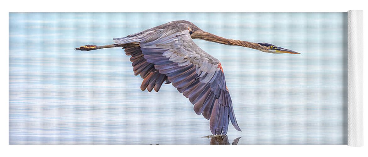 Great Blue Heron Yoga Mat featuring the photograph Great Blue Heron Flying by Susan Rissi Tregoning