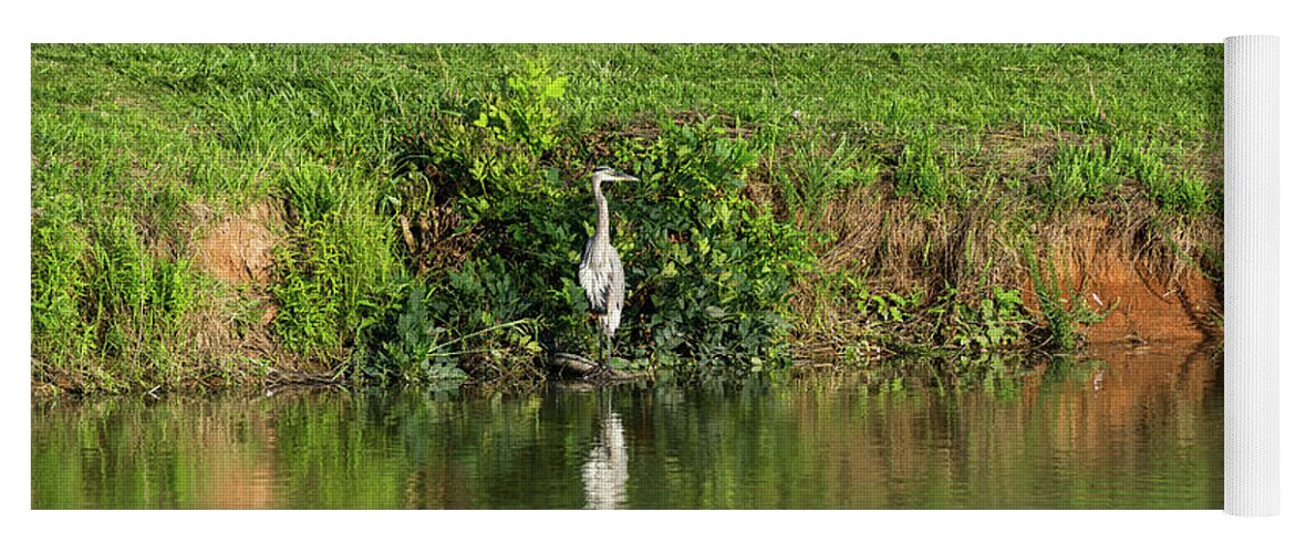 Great Blue Heron Yoga Mat featuring the photograph Great Blue Heron Pond Fishing by Jennifer White