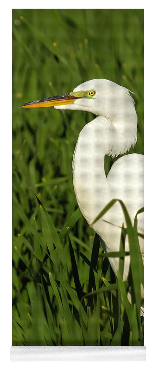 Great Egret Yoga Mat featuring the photograph Great Egret 2014-20 by Thomas Young