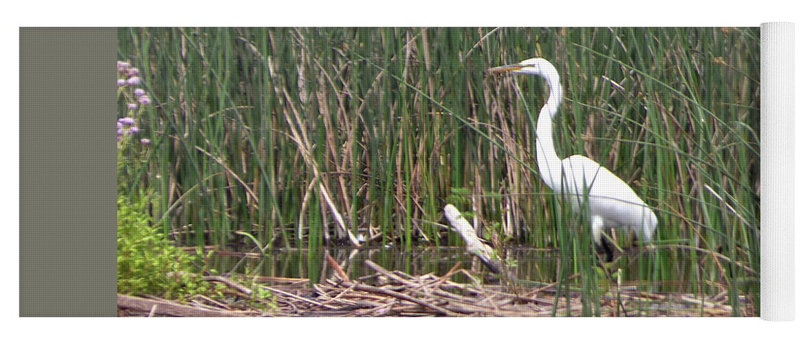 Ardea Alba Yoga Mat featuring the photograph Great Egret at McNary National Wildlife Refuge by Charles Robinson