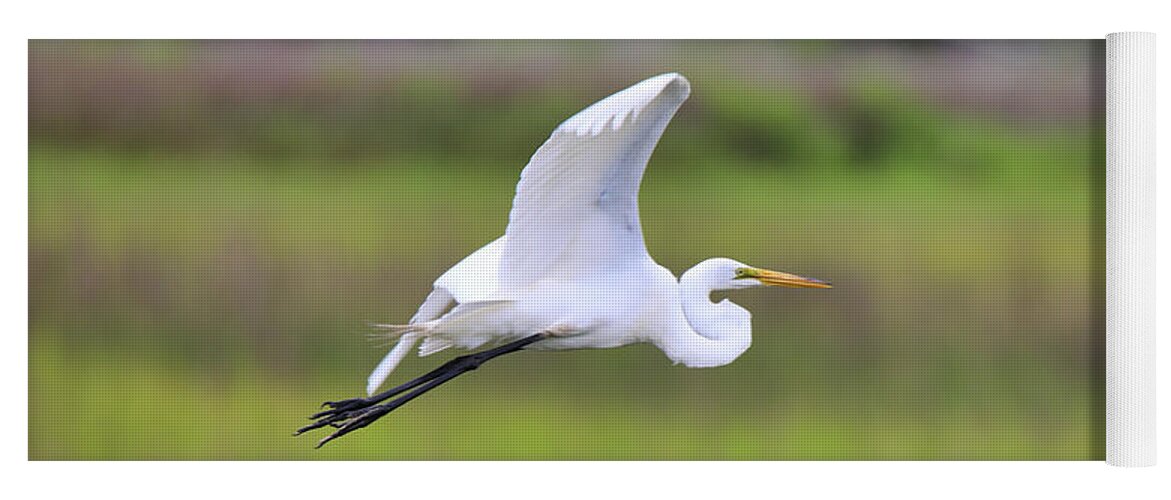 Great Egret Yoga Mat featuring the photograph Great Egret In Flight by Scott Burd