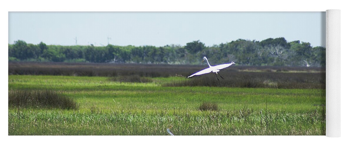 Yoga Mat featuring the photograph Great Egrets by Heather E Harman