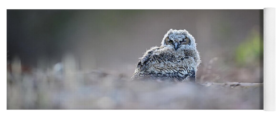 Owl Yoga Mat featuring the photograph Great-horned owlet,- Bubo Virginianus by Amazing Action Photo Video