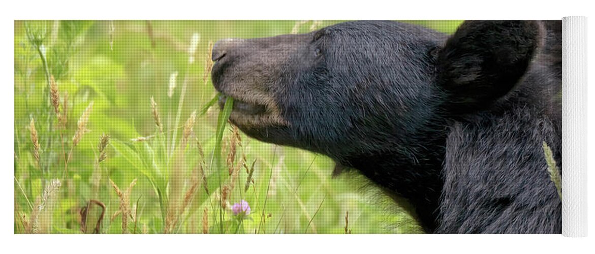 Bear Yoga Mat featuring the photograph Great Smoky Mountains Black Bear - Eat Your Vegetables by Susan Rissi Tregoning
