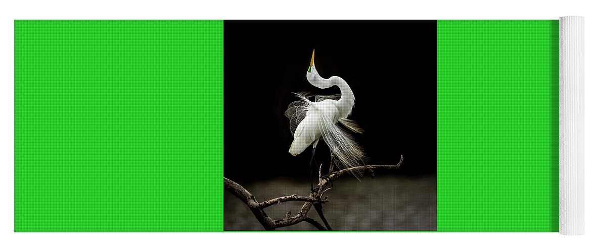 Egret Yoga Mat featuring the photograph Great White Egret Feathers III by Patti Deters