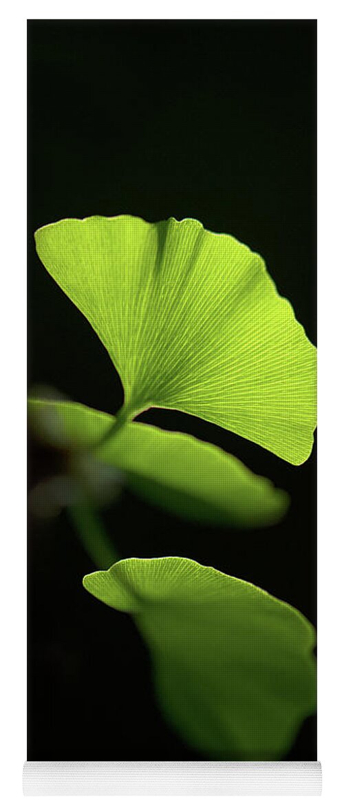 Leaves Yoga Mat featuring the photograph Green Sagacity by Philippe Sainte-Laudy