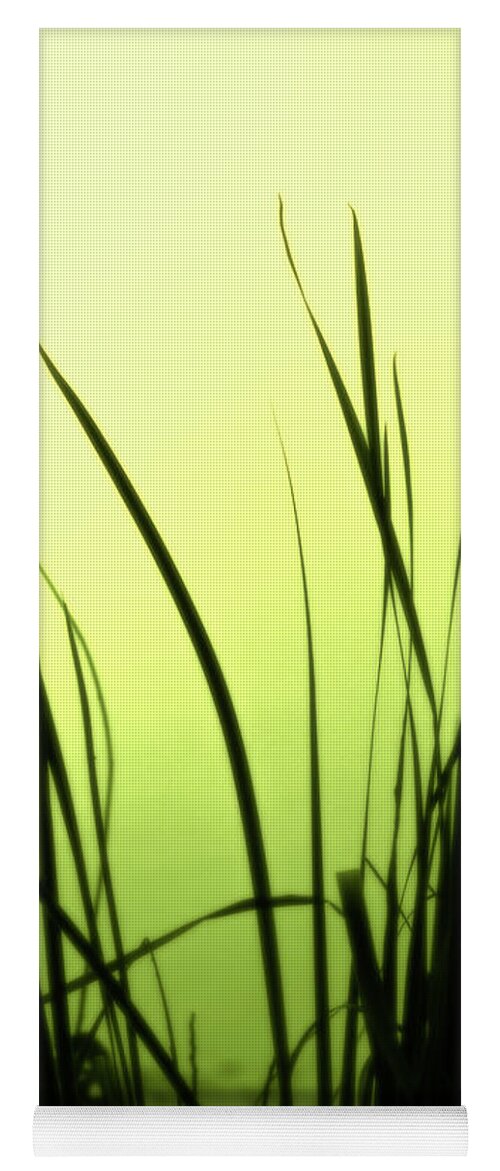 Reeds Yoga Mat featuring the photograph Green Soft Edges of morning by Cynthia Dickinson