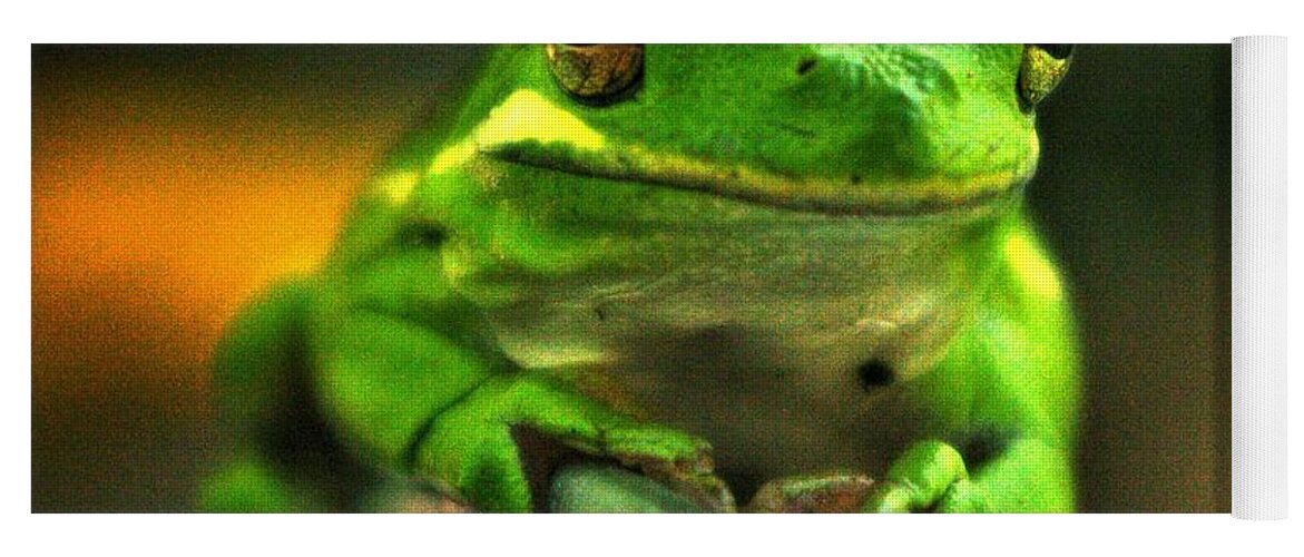 Frog Yoga Mat featuring the photograph Green Tree Frog by Bess Carter