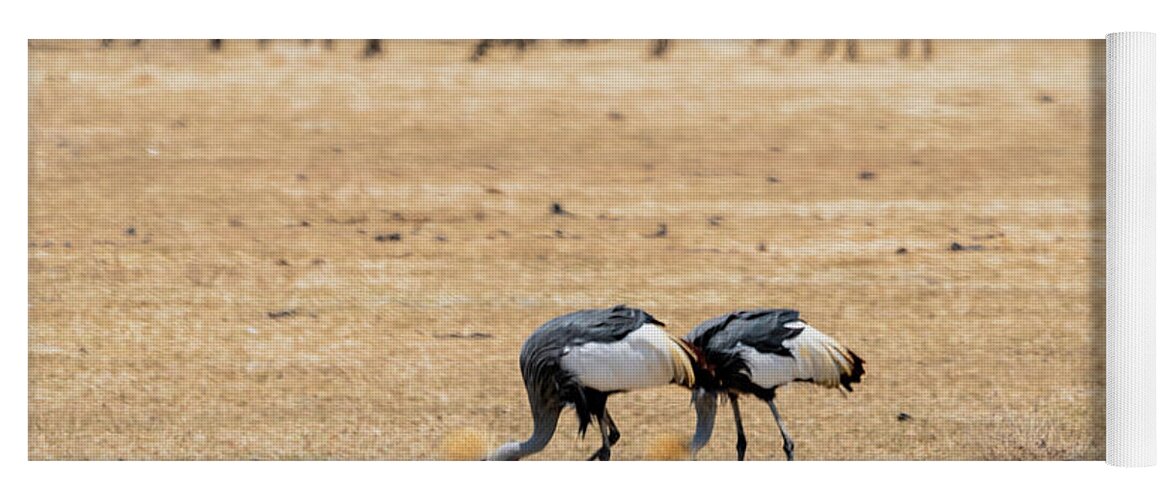 Africa Yoga Mat featuring the photograph Grey-crowned Cranes 2 in Tanzania by Betty Eich