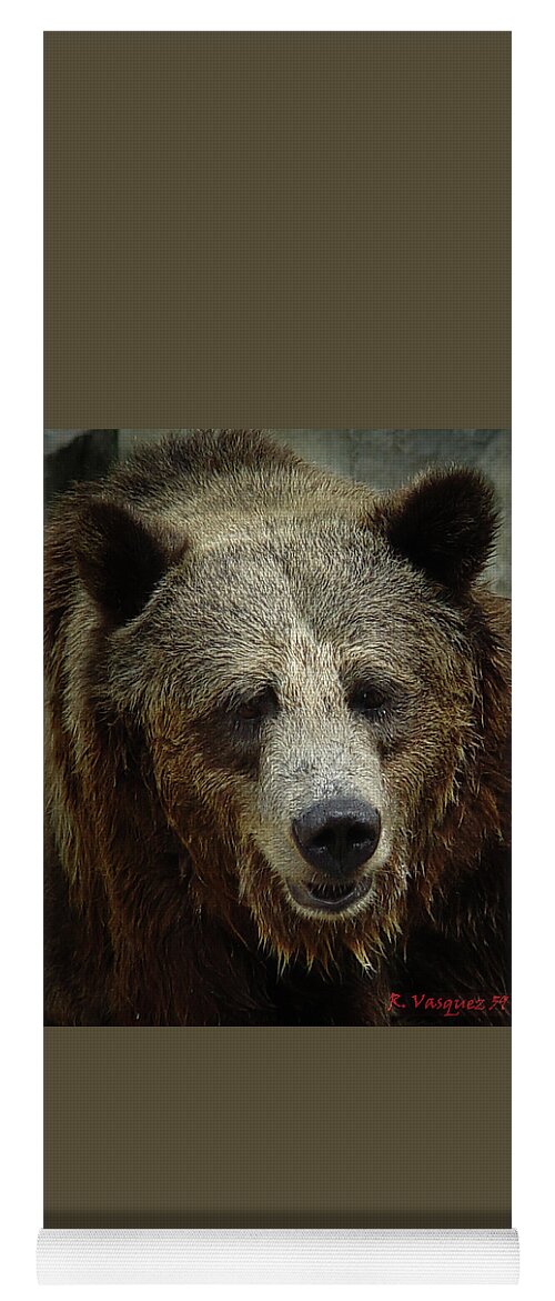 Bear Yoga Mat featuring the photograph Grizzly Bear by Rene Vasquez