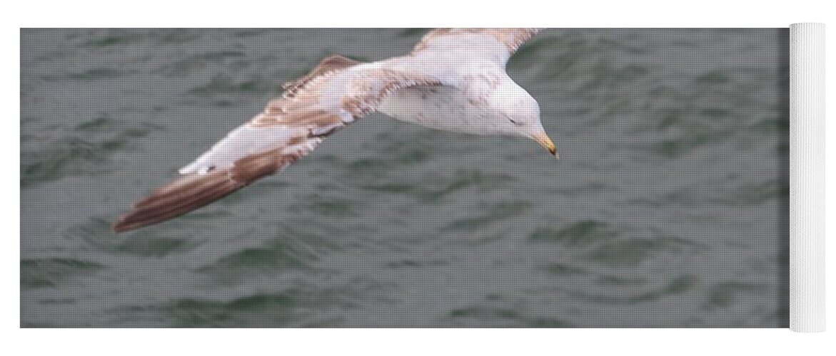 Gull Yoga Mat featuring the photograph Gull in Flight by World Reflections By Sharon