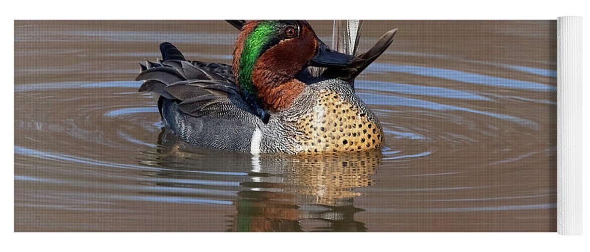 Duck Yoga Mat featuring the photograph GWT Reflection by Art Cole
