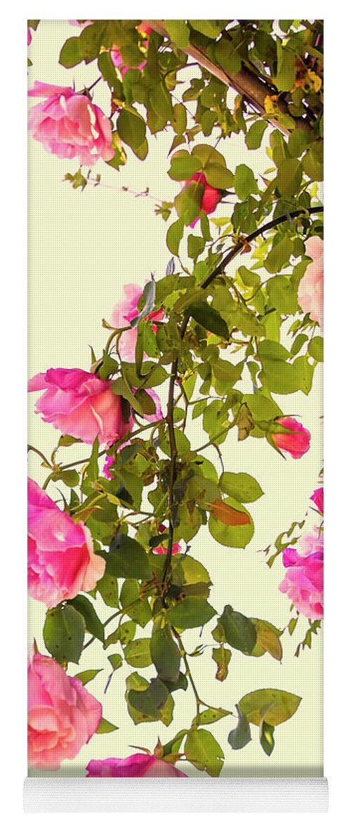 Roses Yoga Mat featuring the photograph Hanging Roses by Elaine Teague