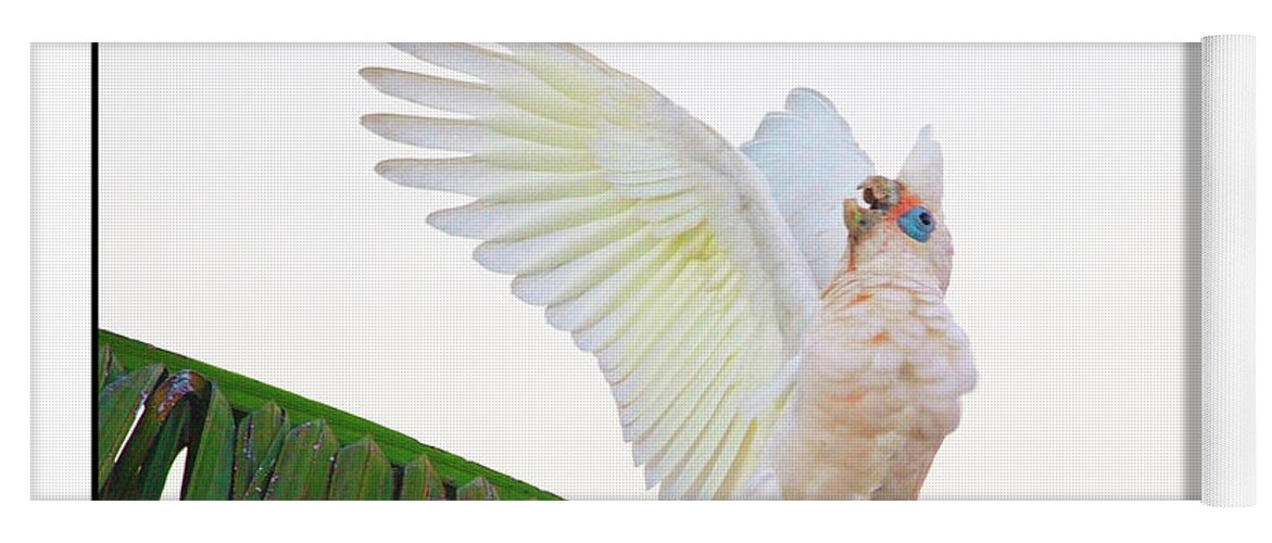 Corella Yoga Mat featuring the photograph Happy Corella 2 by Russell Brown