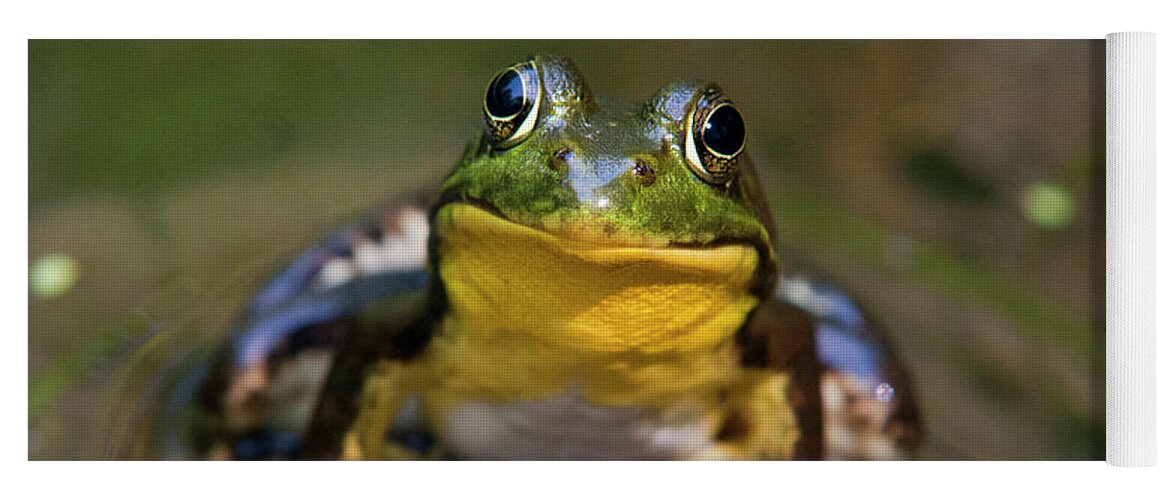 Altaar gelijkheid Haiku Happy Frog Yoga Mat by Christina Rollo - Christina Rollo - Artist Website