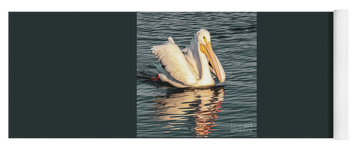 Pelican Yoga Mat featuring the photograph Happy Times by Joanne Carey