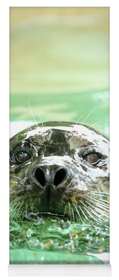 Harbor Seal Yoga Mat featuring the photograph Harbor Seal by Lens Art Photography By Larry Trager