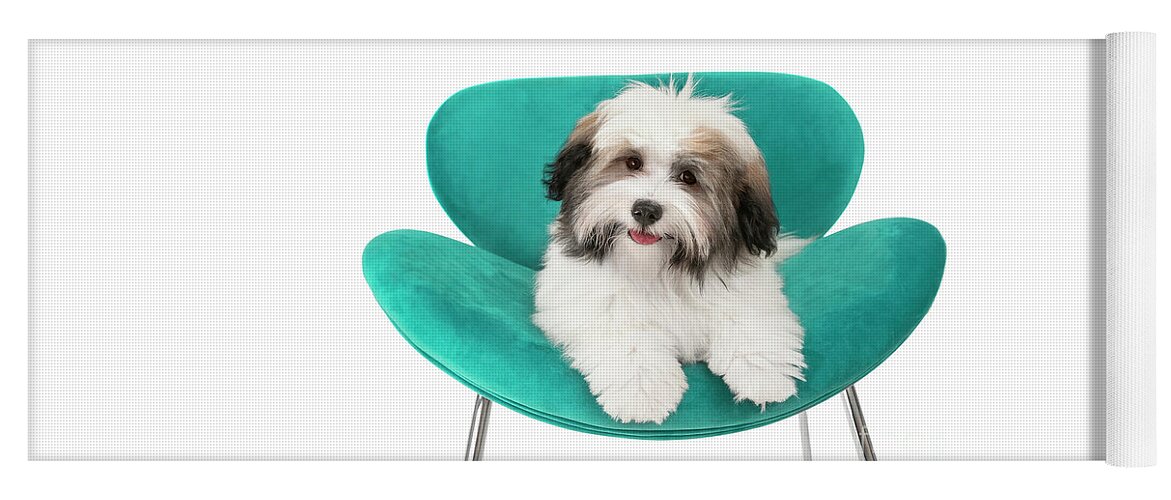 Dog Yoga Mat featuring the photograph Havanese Puppy Joy by Renee Spade Photography