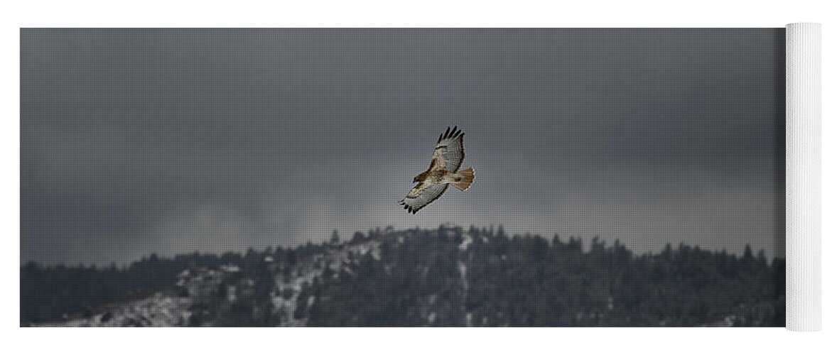  Yoga Mat featuring the photograph Hawk in flight by Doug Wittrock