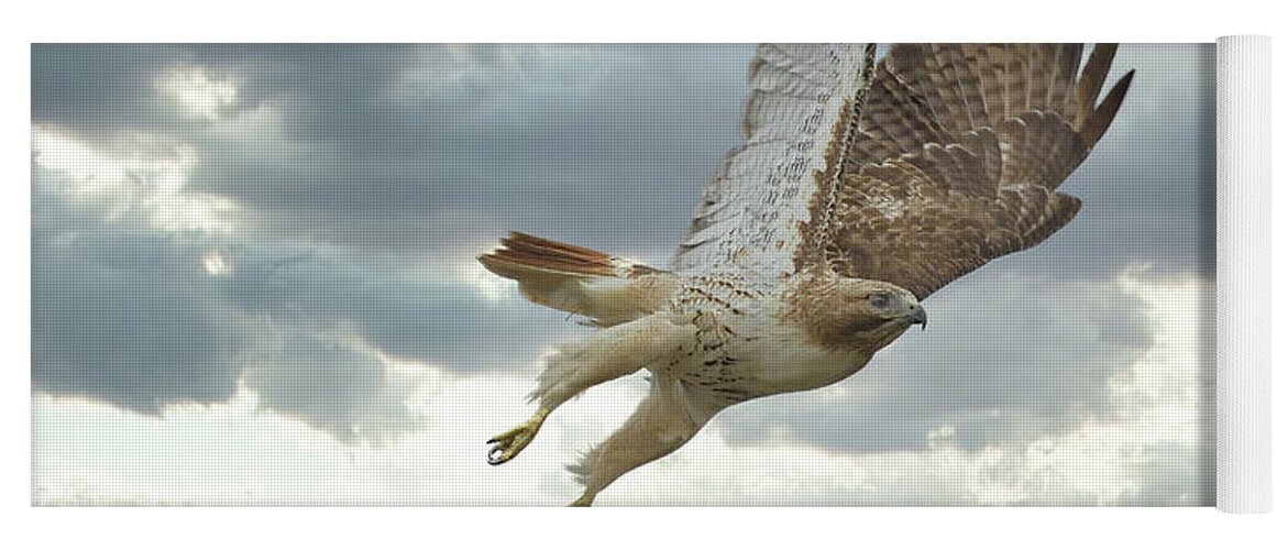 Buteo Jamaicensis Yoga Mat featuring the photograph Hawk Leaps to Heavens by William Jobes