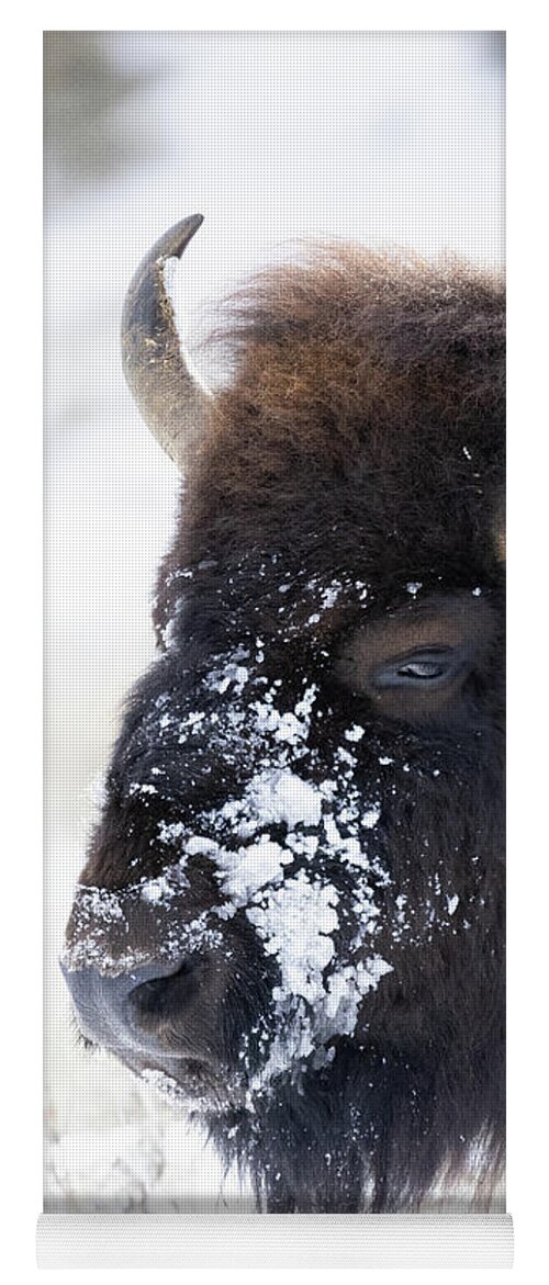 Yellowstone National Park Yoga Mat featuring the photograph Head of Bison by Cheryl Strahl