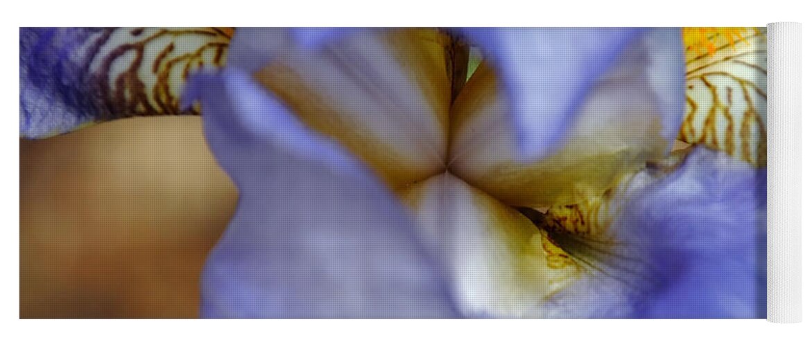 Flower Yoga Mat featuring the photograph Heart of the Iris by Vallee Johnson