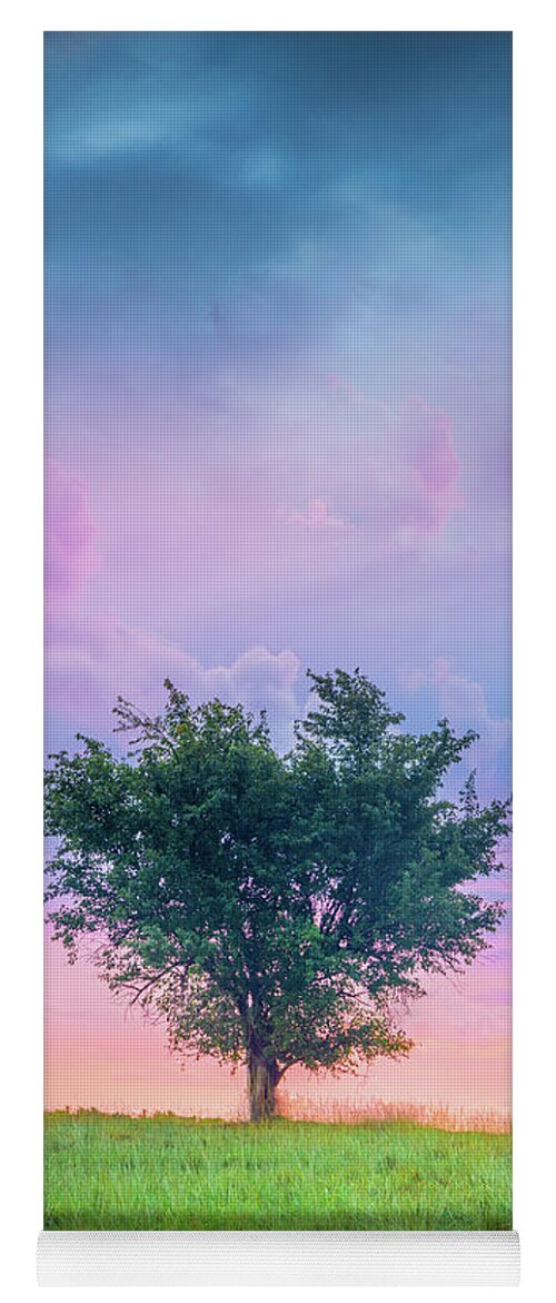 Heart Tree Yoga Mat featuring the photograph Heart-Shaped Tree Tupelo MIssissippi by Jordan Hill