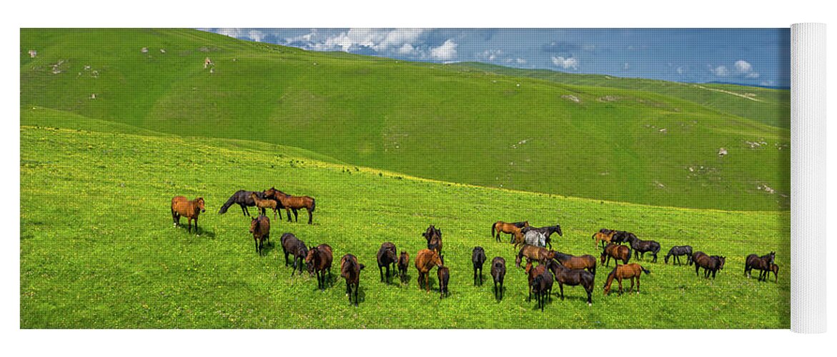 Horse Yoga Mat featuring the photograph Herd Of Horses Grazing On Slope Meadow by Mikhail Kokhanchikov