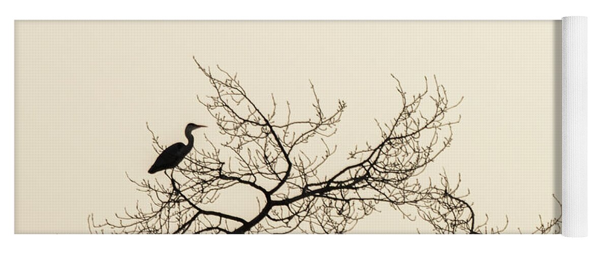 Elfhoevenplas Yoga Mat featuring the photograph Heron at dawn by Casper Cammeraat