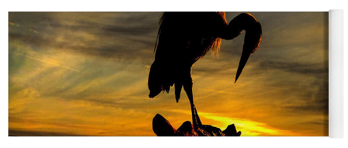  Yoga Mat featuring the photograph Heron at Sunset by Jack Wilson
