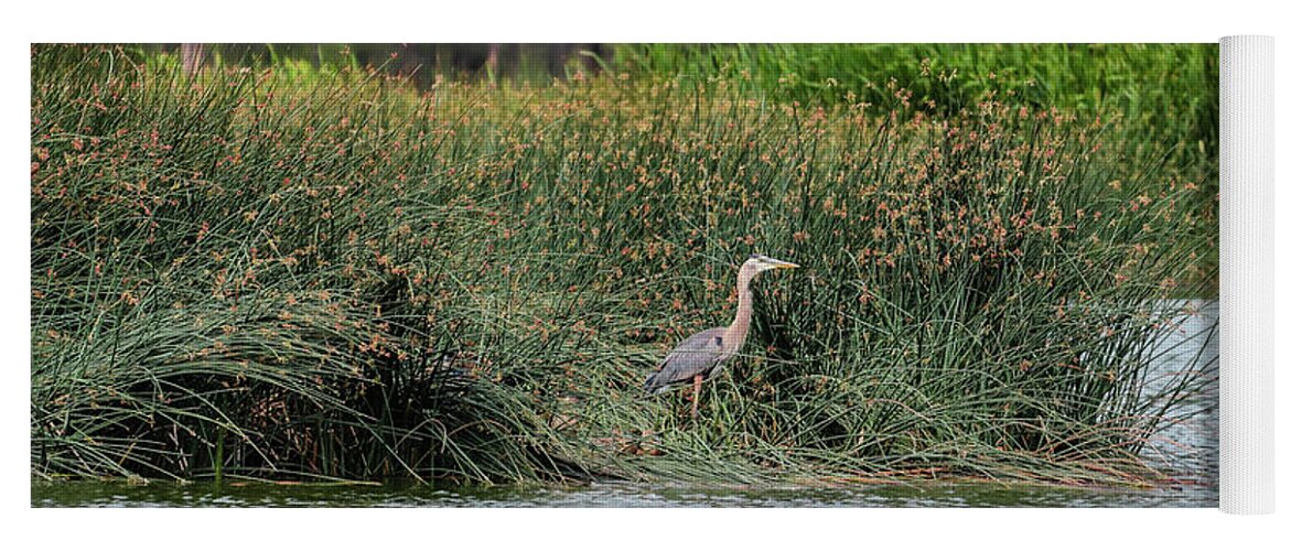 Heron Yoga Mat featuring the photograph Majestic by Laura Putman