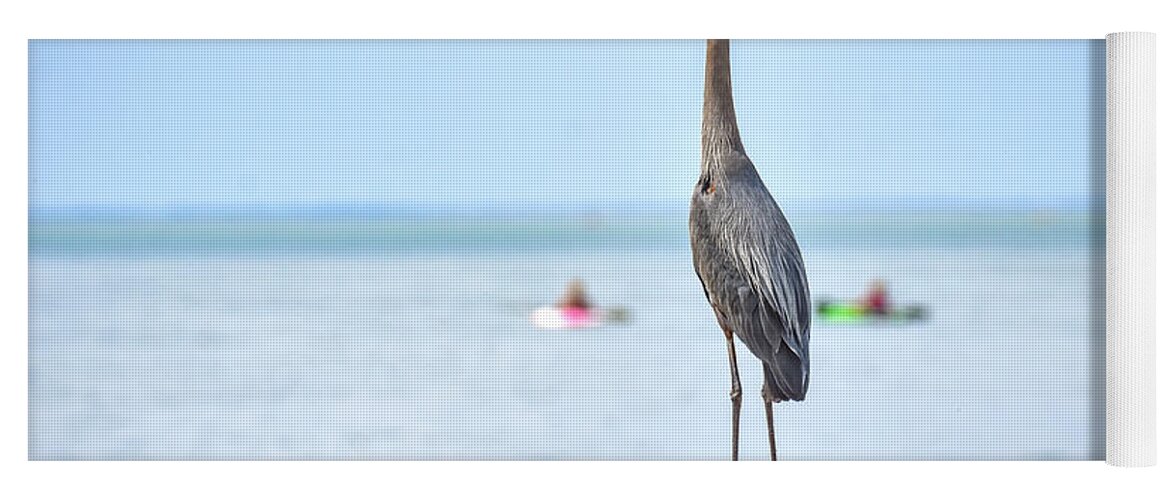Lake Erie Yoga Mat featuring the photograph Heron on Shore by Michelle Wittensoldner