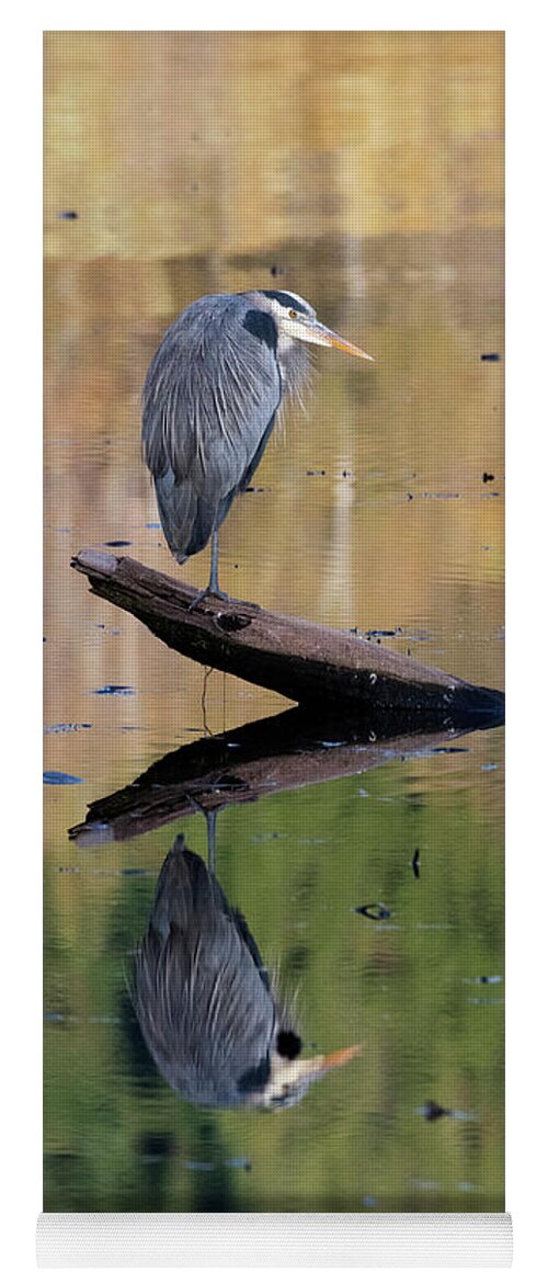 Kmaphoto Yoga Mat featuring the photograph Heron Reflection by Kristine Anderson