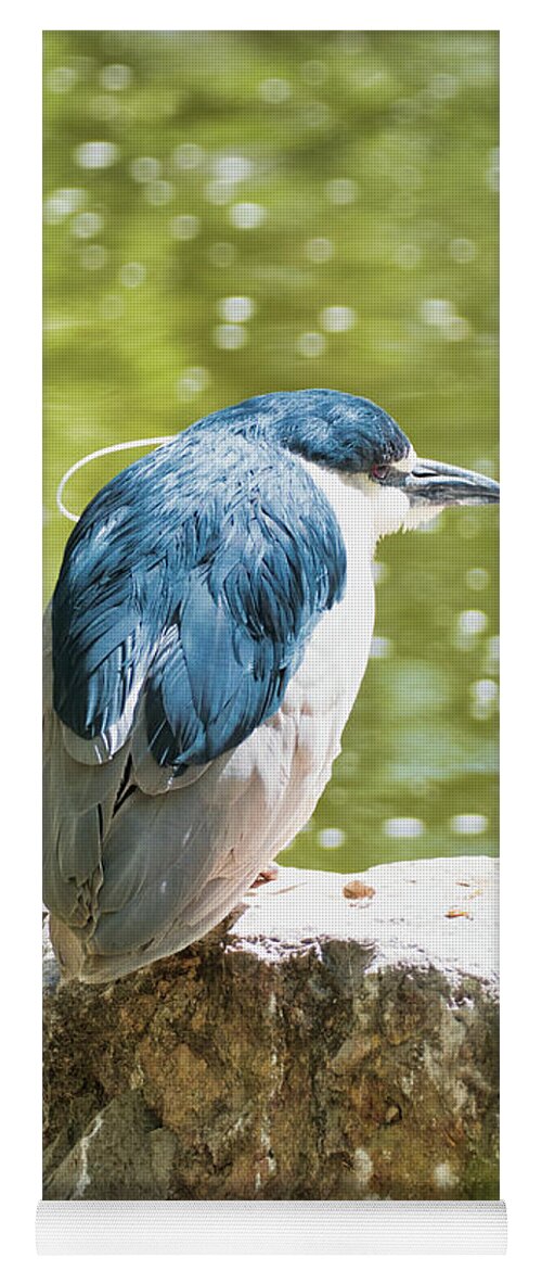 Animals Yoga Mat featuring the photograph Heron by Segura Shaw Photography