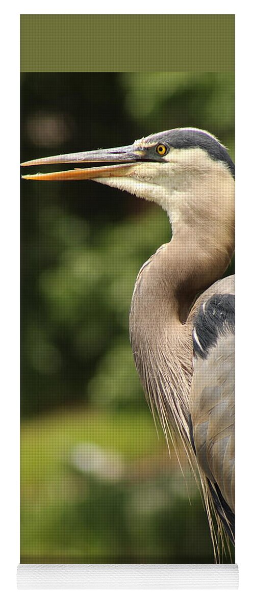 Jane Ford Yoga Mat featuring the photograph Heron's Profile by Jane Ford