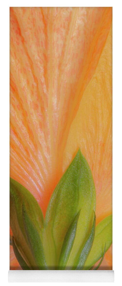 Orange Yoga Mat featuring the photograph Hibiscus from Below by Karen Smale