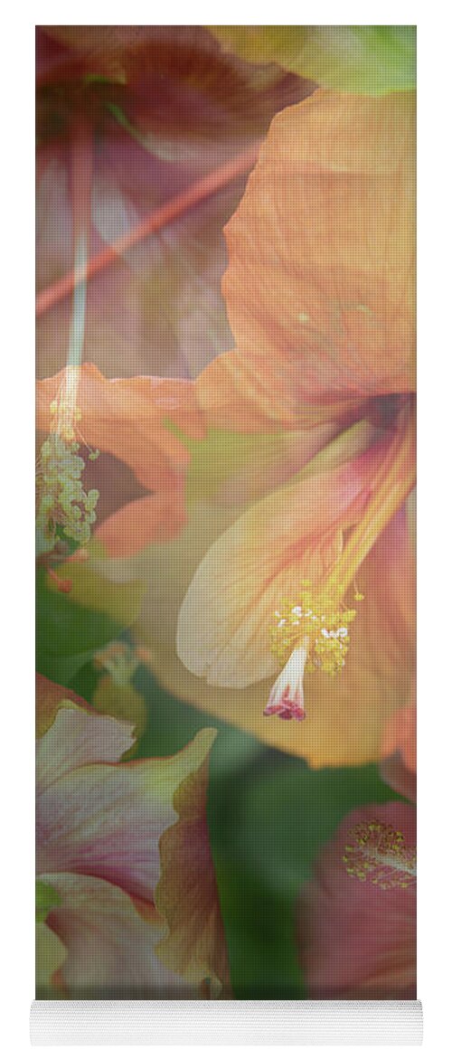 Flowers Yoga Mat featuring the photograph Hibiscus Multiple by M Kathleen Warren