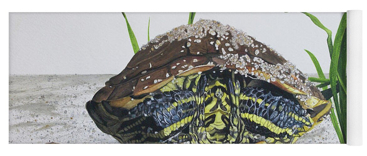 Turtle Yoga Mat featuring the painting Hiding In by Heather E Harman