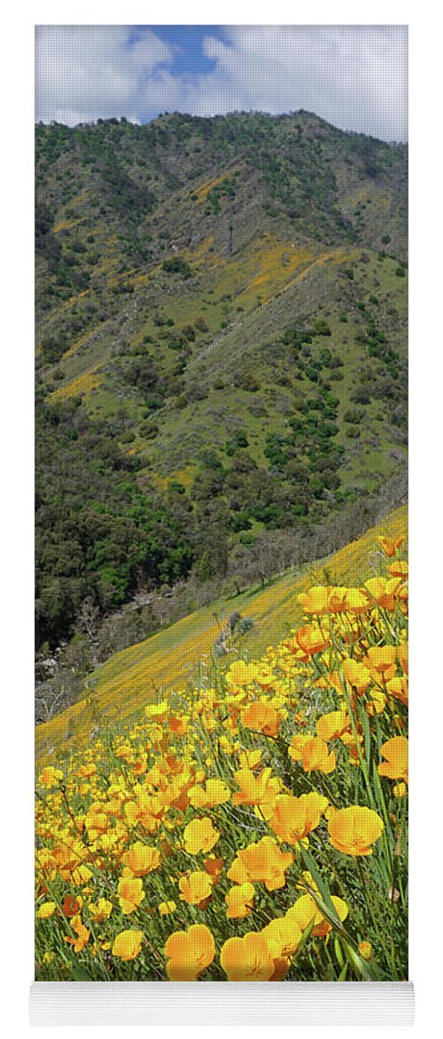 Poppies Yoga Mat featuring the photograph Poppies Above Kaweah River by Brett Harvey