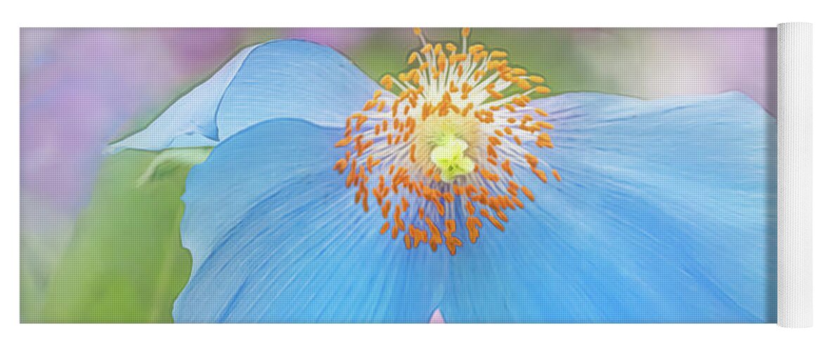 Poppy Yoga Mat featuring the photograph Himalayan Blue Poppy - In The Garden by Sylvia Goldkranz
