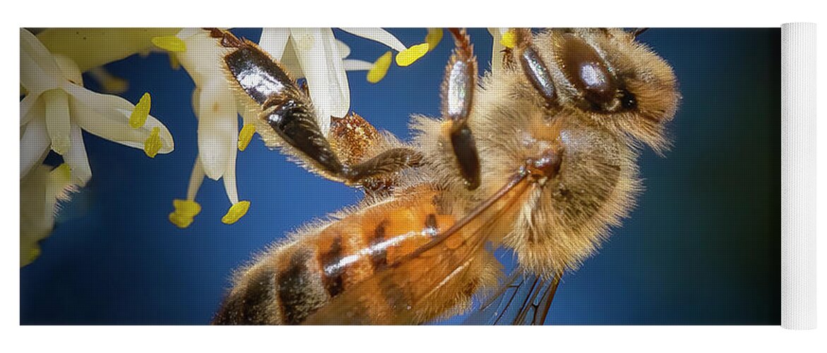 Honey Bee in Blue Yoga Mat by Mark Andrew Thomas - Fine Art America