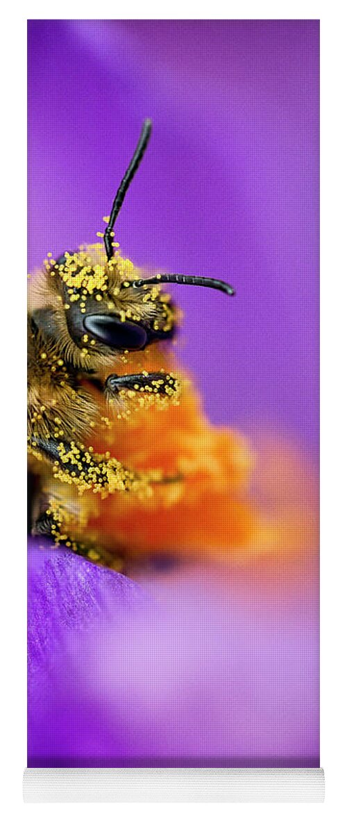 3scape Yoga Mat featuring the photograph Honeybee Pollinating Crocus Flower by Adam Romanowicz