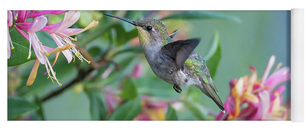 Nature Yoga Mat featuring the photograph Honeysuckle Hummingbird by Linda Shannon Morgan