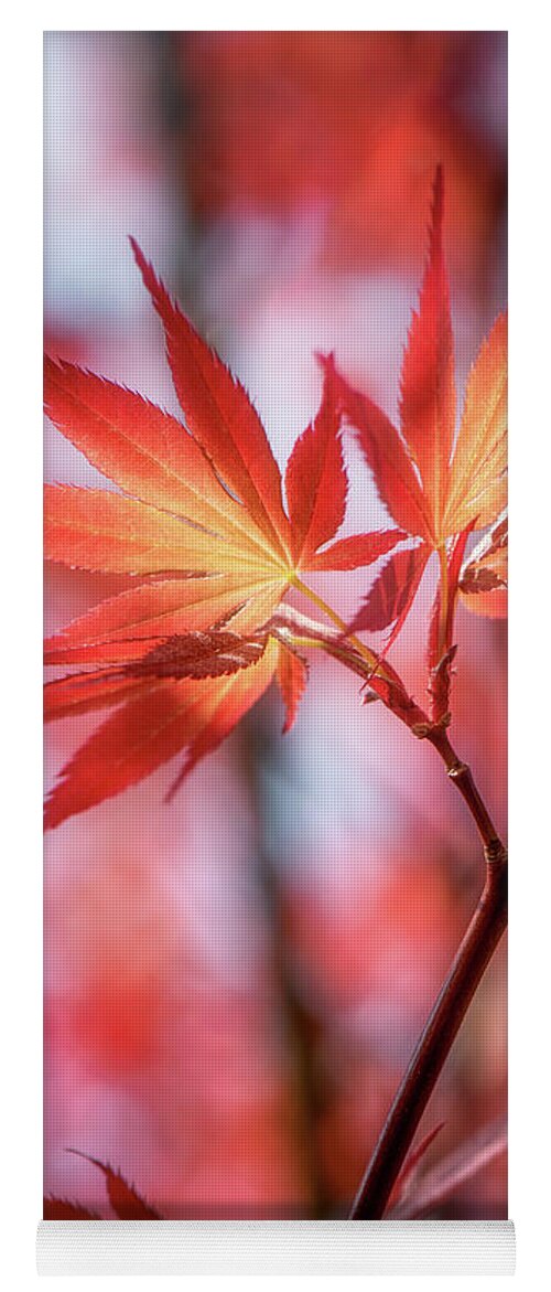 Leaves Yoga Mat featuring the photograph Hope is Red by Philippe Sainte-Laudy