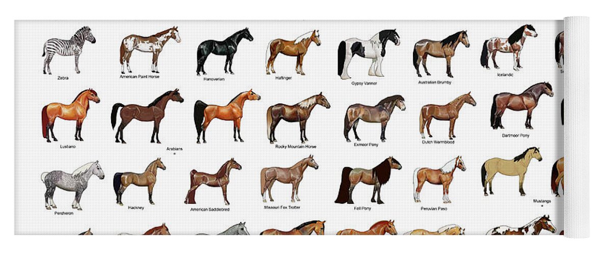 Horse Breeds Yoga Mat by Gina Dsgn - Fine Art America
