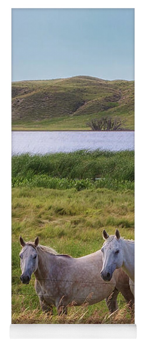 Horses Yoga Mat featuring the photograph Horses at Beem Lake - Sandhills Journey by Susan Rissi Tregoning